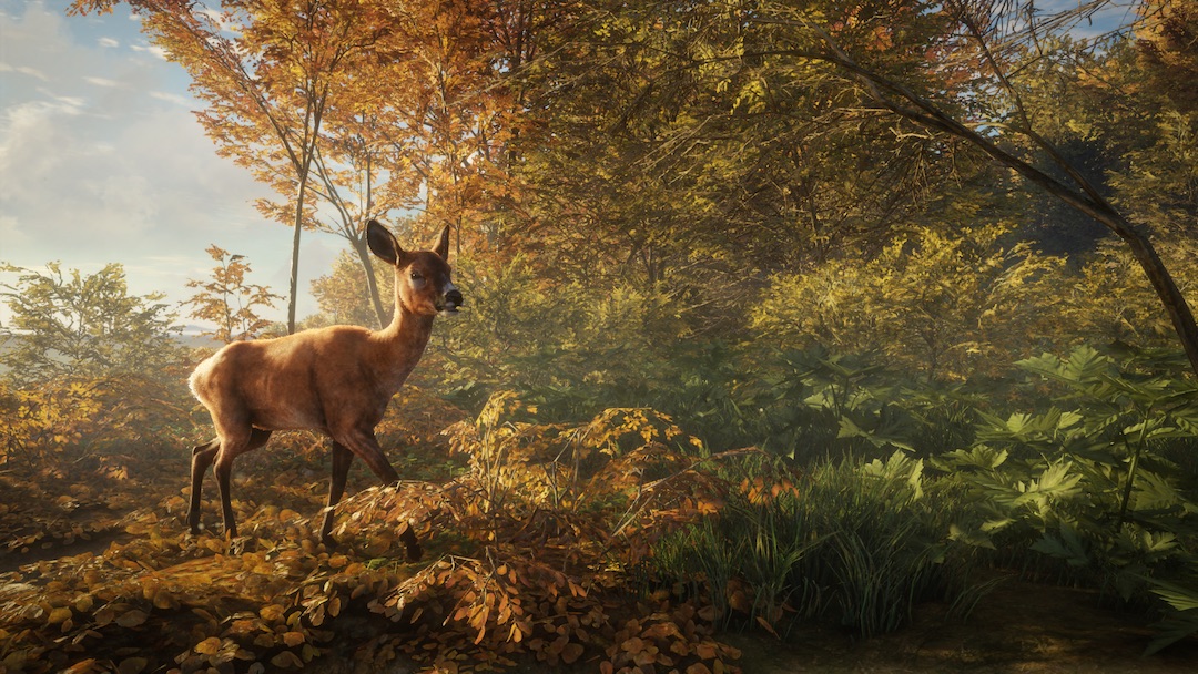 theHunter Call of the Wild