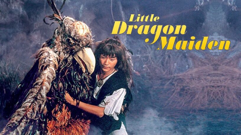 Little Dragon Maiden Review