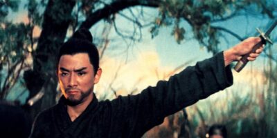 the one armed swordsman review